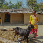 savings group member farmer's goat gives birth