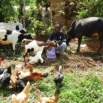 Ayuk Chitwa using savings and borrowing from savings group to conquer poverty and meet his family's needs