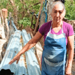 Rosa Guatemala