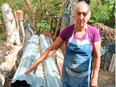 Rosa Guatemala e1792686015175