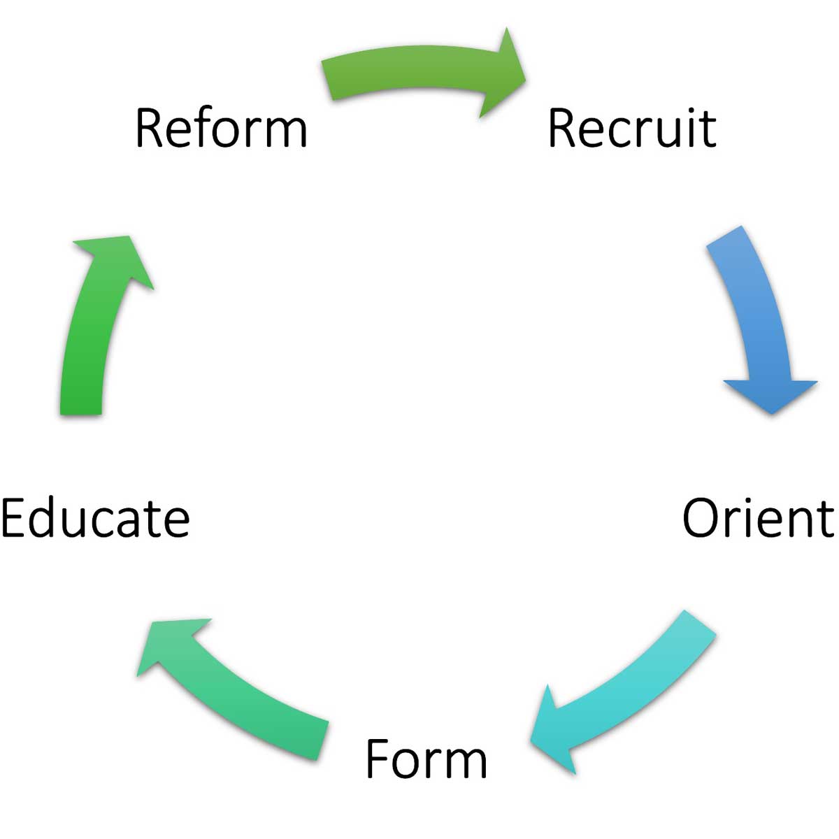group life cycle diagram