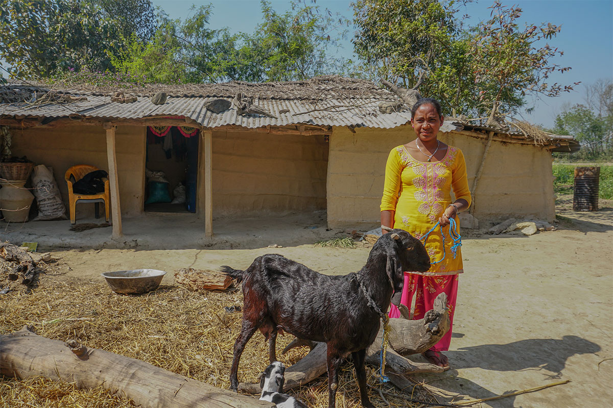 savings group member farmer's goat gives birth