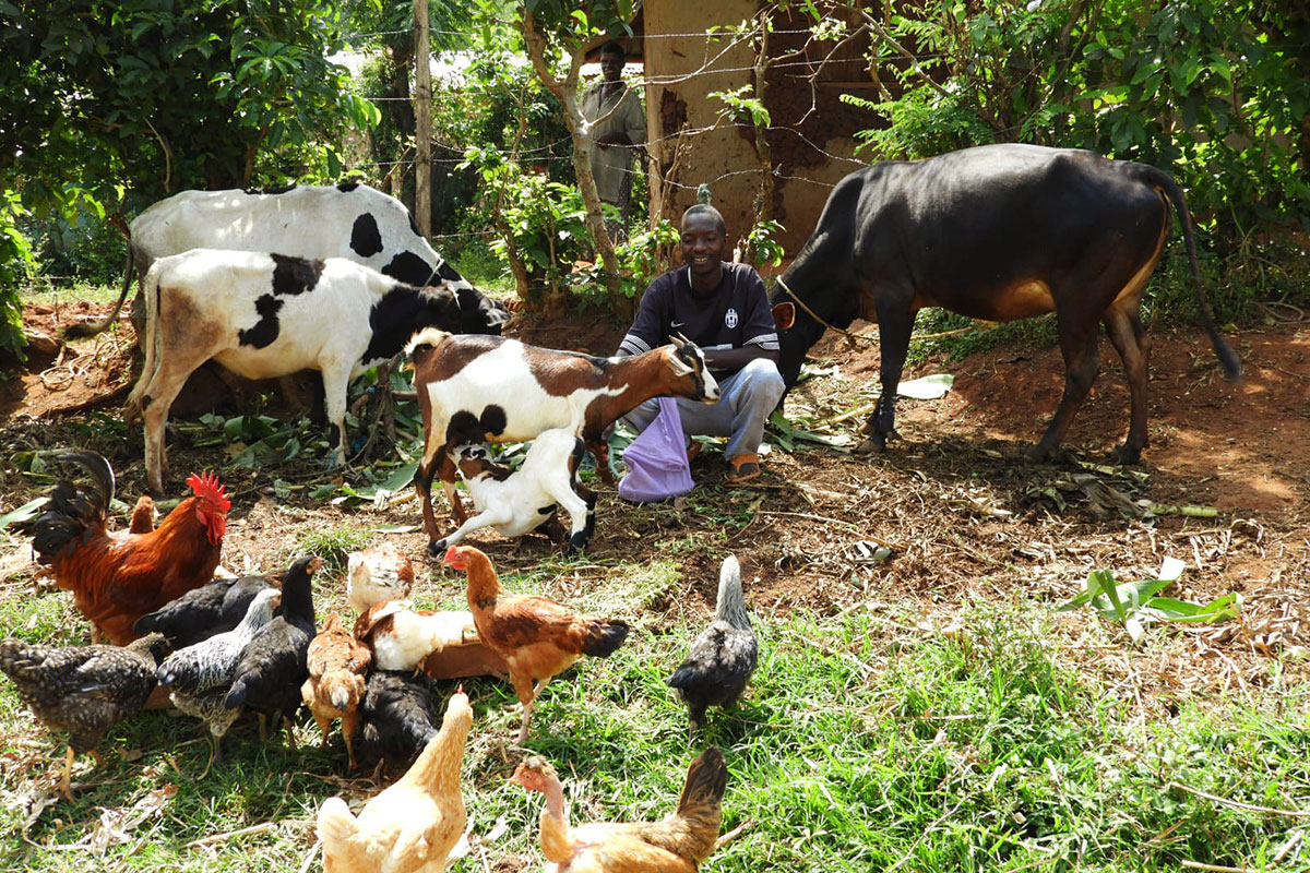 Ayuk Chitwa using savings and borrowing from savings group to conquer poverty and meet his family's needs